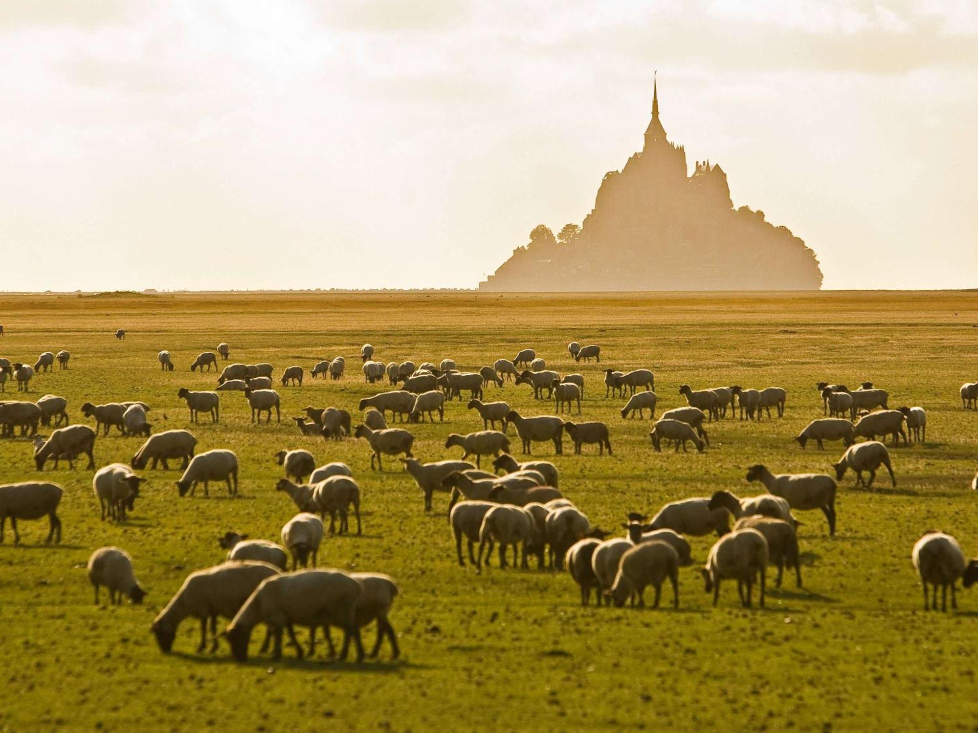 Hotelf1 Avranches Baie Du Mont Saint Michel ภายนอก รูปภาพ